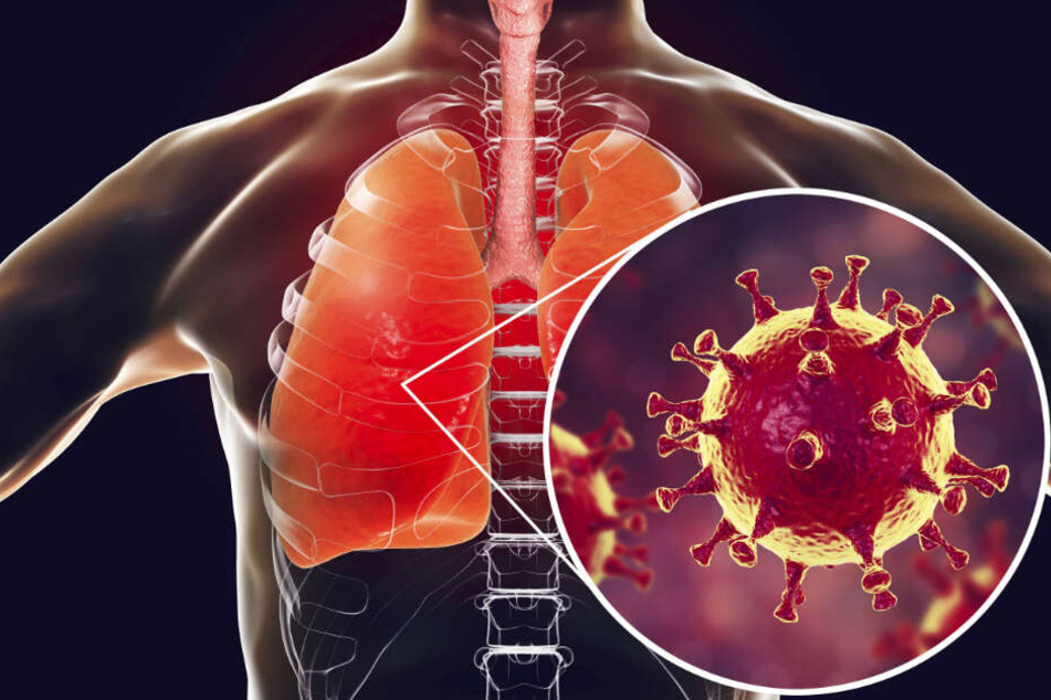 Der Coronavirus hat Deutschland erreicht, die Furcht davor auch Sachsen.