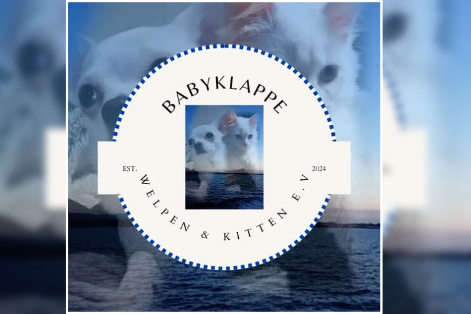 La asociación "Babyklappe für hilfesuchende und verwaiste Welpen und Kitten e. V." se ocupa de perros y gatos pequeños en situación de emergencia que de otro modo no tendrían ninguna oportunidad.