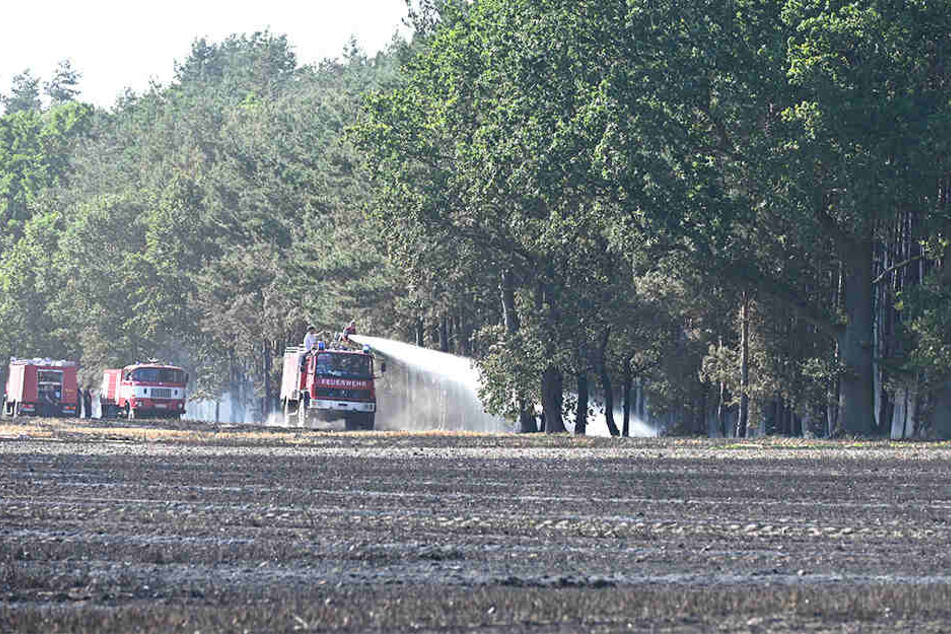Das Feuer breitete sich bis direkt an die Ortsgrenze von Bulleritz aus.