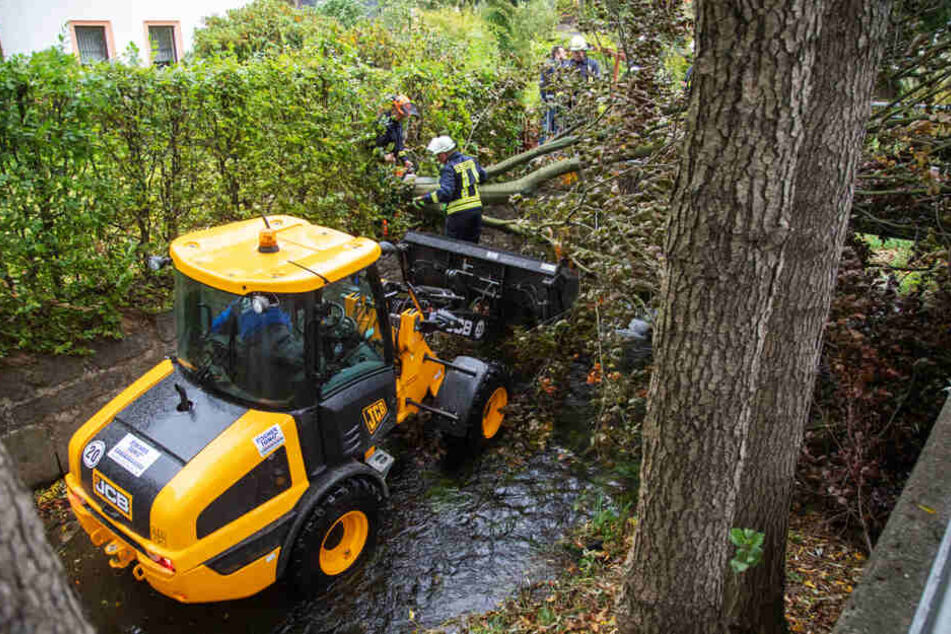 Der Bagger schob in Großharthau einen Baum aus dem Bach Gruna.