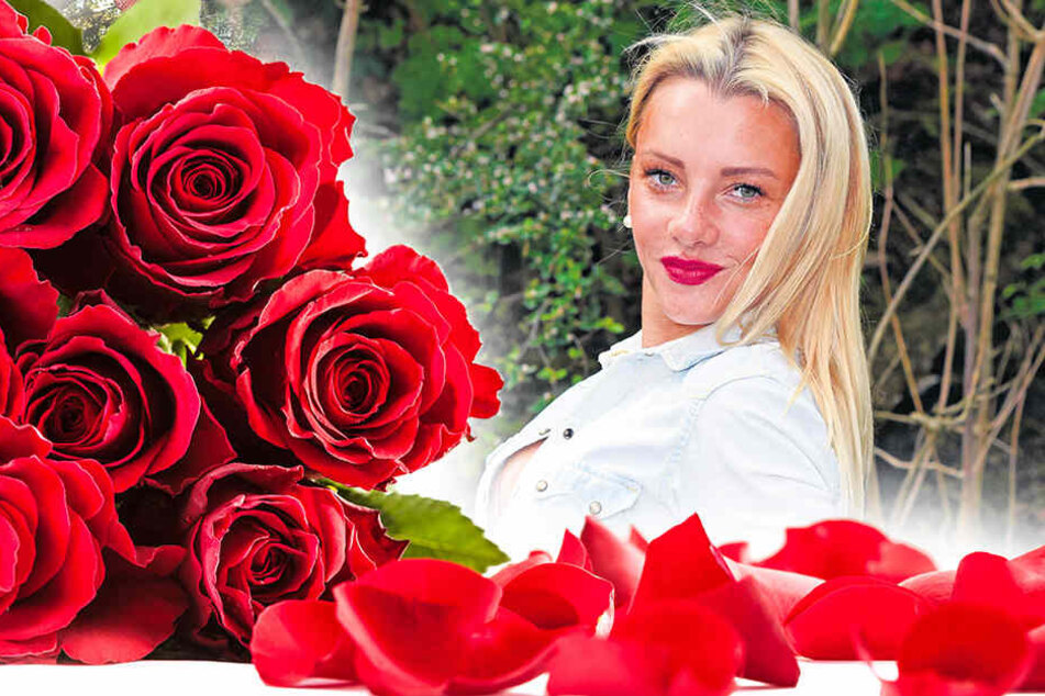 Auf der Suche nach Mr. Right: Wird Evelyn Burdecki jetzt "Bachelorette"?