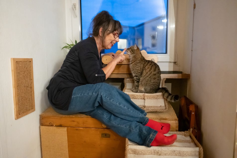 Marions zweite Katze ist "erst" 15 Jahre alt.