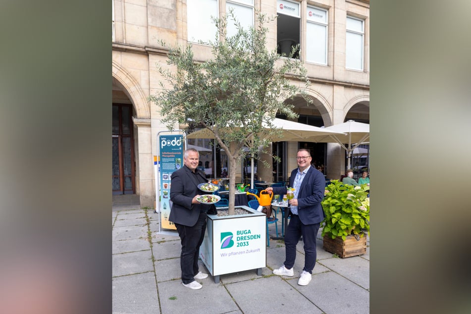 Hinter der BUGA-Werbverkleidung verbirgt sich ein Podd für Bäume. Dehoga-Chef Axel Klein (57, r.) und Gastronom Jens Dzurny (47) sind vom geringen Pflegeeaufwand begeistert.