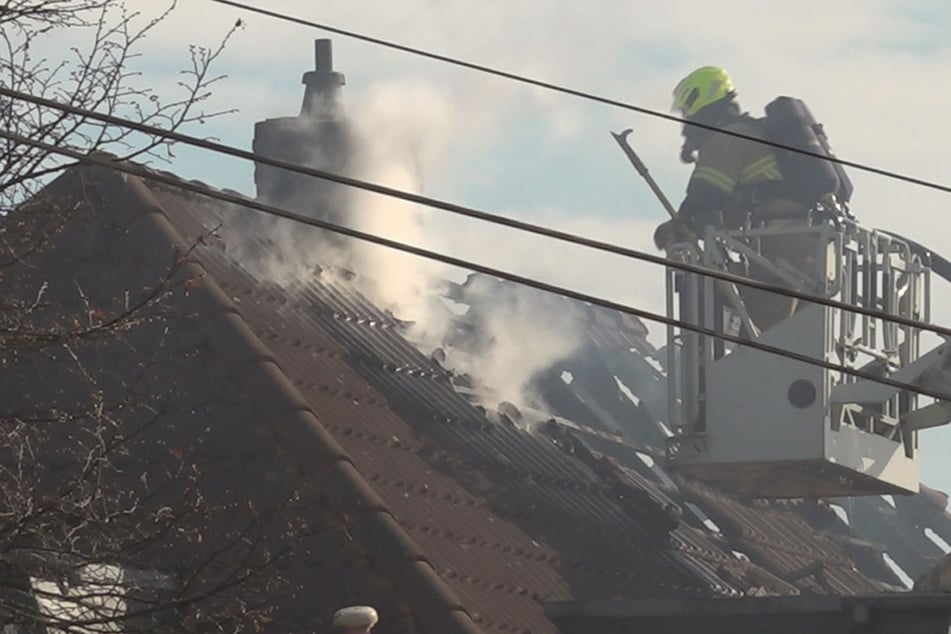 Feuerwehr im Großeinsatz: Flammen greifen von Hecke auf Haus über
