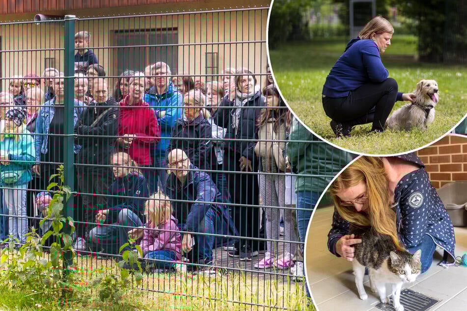 Dresden: Offenes Tierheim: Hunderte zu Besuch bei Bello & Co.