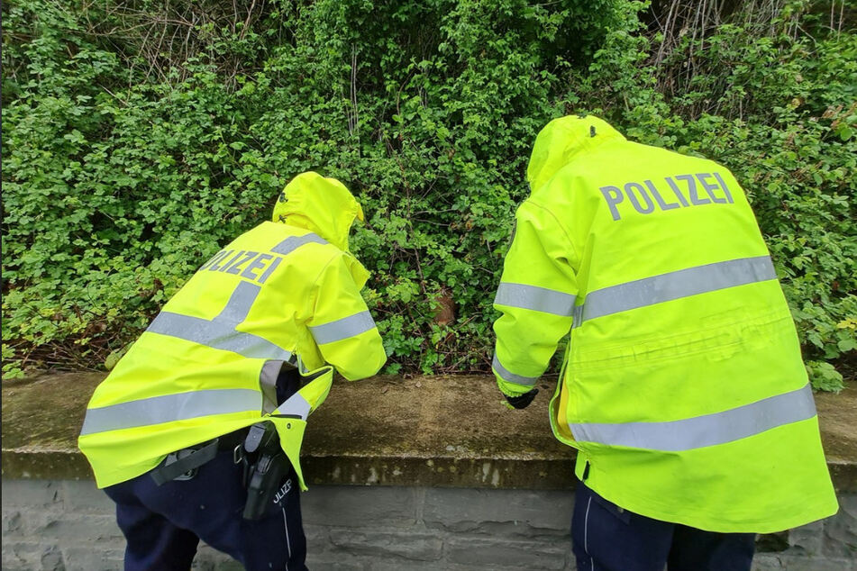Die Polizei musste das Reh freischneiden.