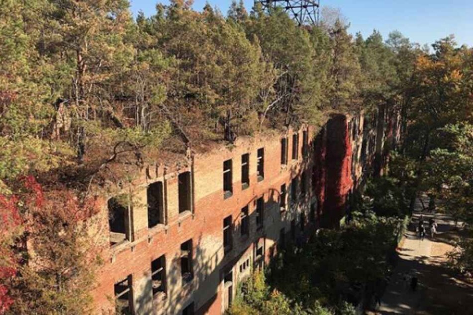 Die Beelitz-Heilstätten begeistern seit Jahren Besucher.