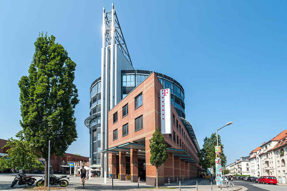 In ein Büro an der Riesaer Straße 5 hatten sich mehr als 40 Abendsegler verirrt.