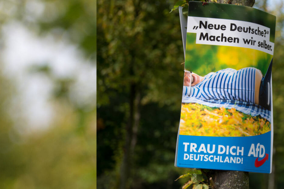 Junge Männer-Gang zerstört 16 Wahlplakate in Leipzig