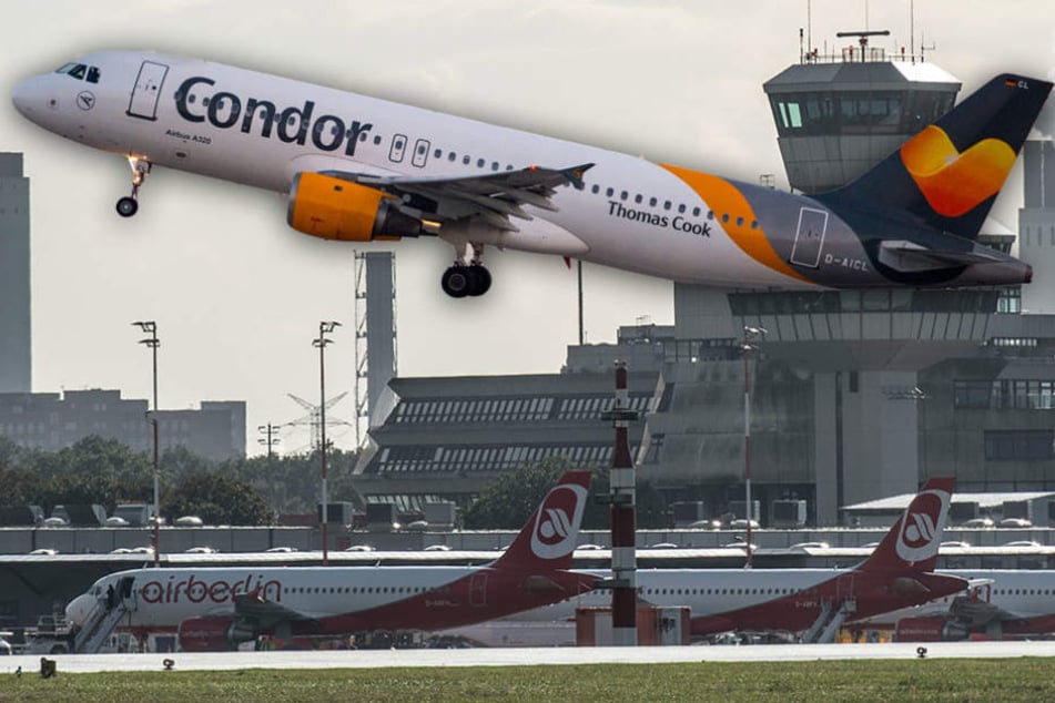Condor profitiert von der Air-Berlin-Pleite und schnappte sich die Verbindungen in die Karibik.