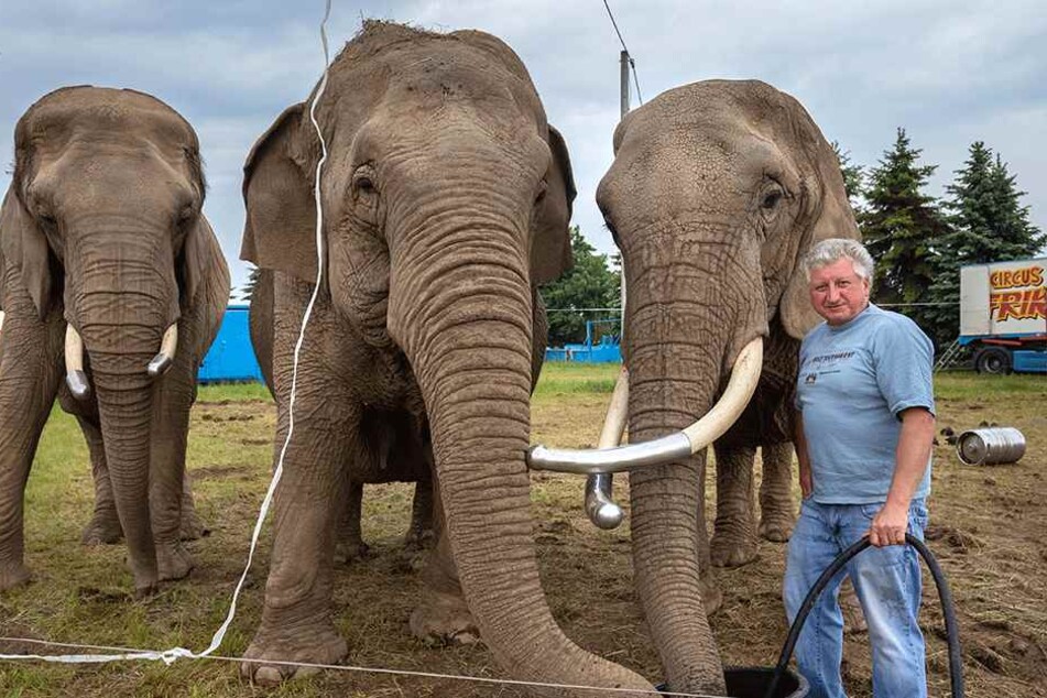 Zirkus-Direktor Hardy Weisheit findet, dass er seine Tiere fair behandelt.
