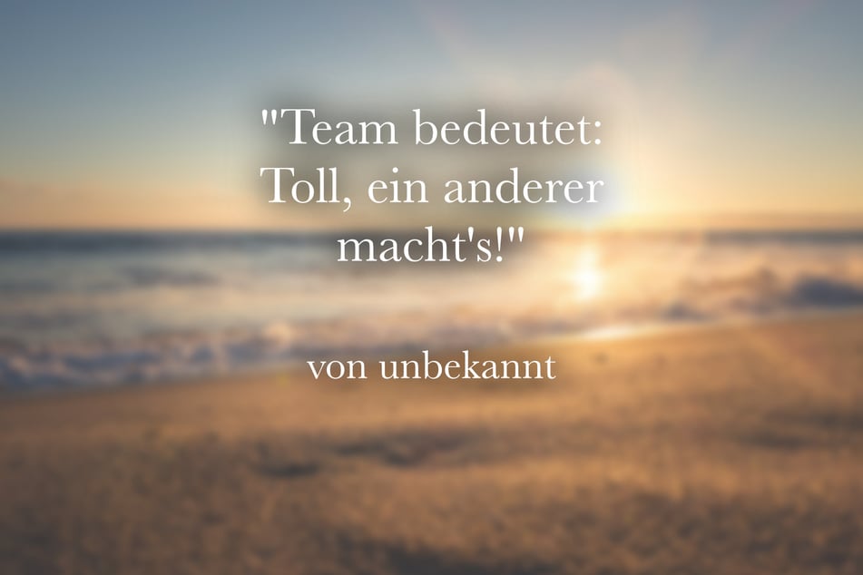 Ein lustiger Spruch über das Arbeiten im Team lautet: "Team bedeutet: Toll, ein anderer machts!"