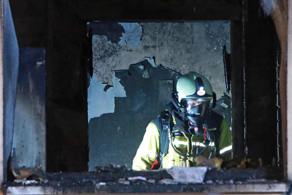 Feuer zerstört ganze Wohnung, Hund stirbt in den Flammen TAG24