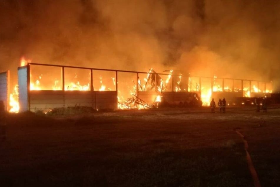 Die Lagerhalle brannte komplett aus.