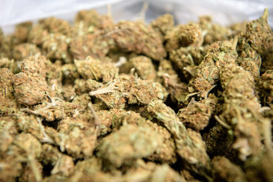 Im Rucksack des Mannes befand sich knapp ein Kilo Marihuana im Wert von 10.000 Euro. (Symbolbild)