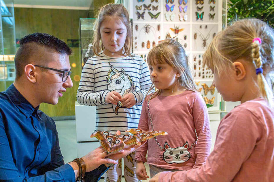 Alia (8, v.l.), Mia (5) und Finja (5) bestaunten die großen Falter, die sich auf den Händen von Tillmann Braun (18) niedergelassen hatten.