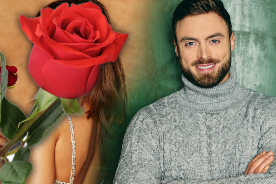 Der Bachelor: Eine Dame kennt Niko bereits, das sorgt für Ärger