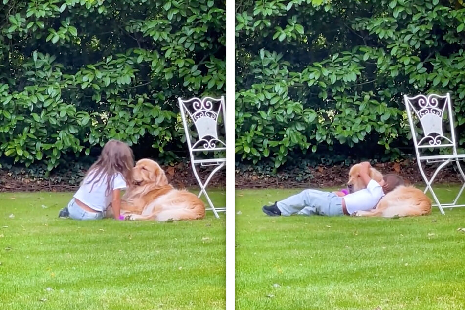 Marley, a golden retriever, made it his mission to comfort a little girl, and TIkTok is here for it!