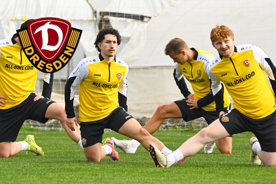 Die Chemie muss stimmen! So integrieren sich die Neuen bei Dynamo