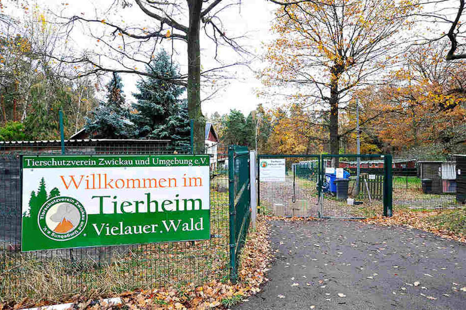 Im Tierheim Vielau sind neben Verwaltungskräften fünf Tierpfleger und drei Azubis angestellt.