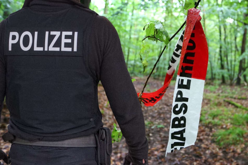Die brutale Attacke ereignete sich in einem Waldgebiet in Südhessen. (Symbolbild)