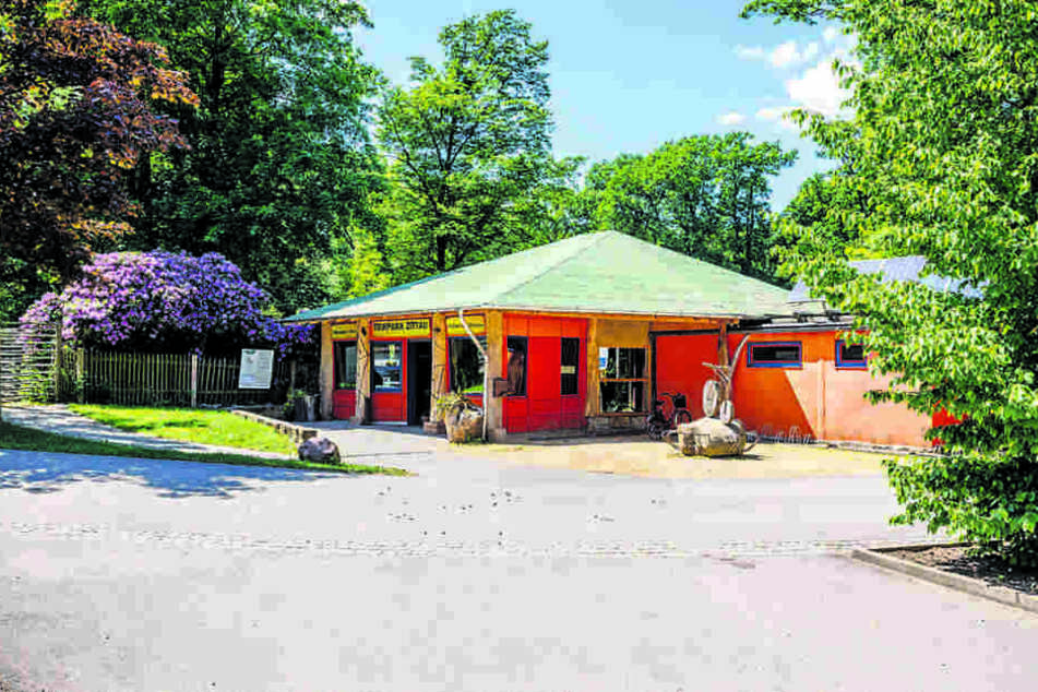 Im Tierpark von Zittau leben die Kamele, mit denen Tierpflegerin Sylvie
Krystufek (46) sogar Ausritte anbietet.
