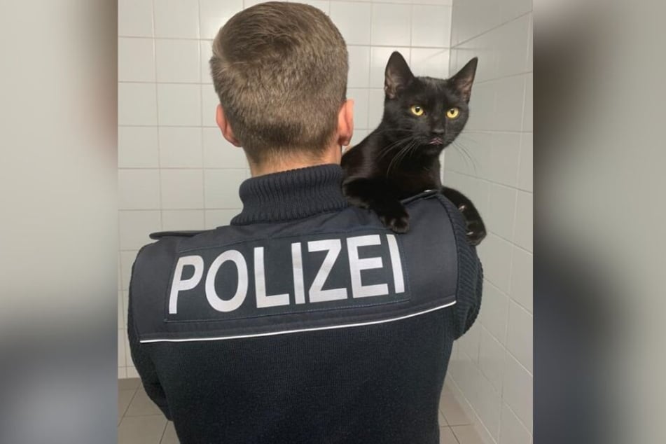 Ein Bundespolizist findet den süßen Ausreißer.