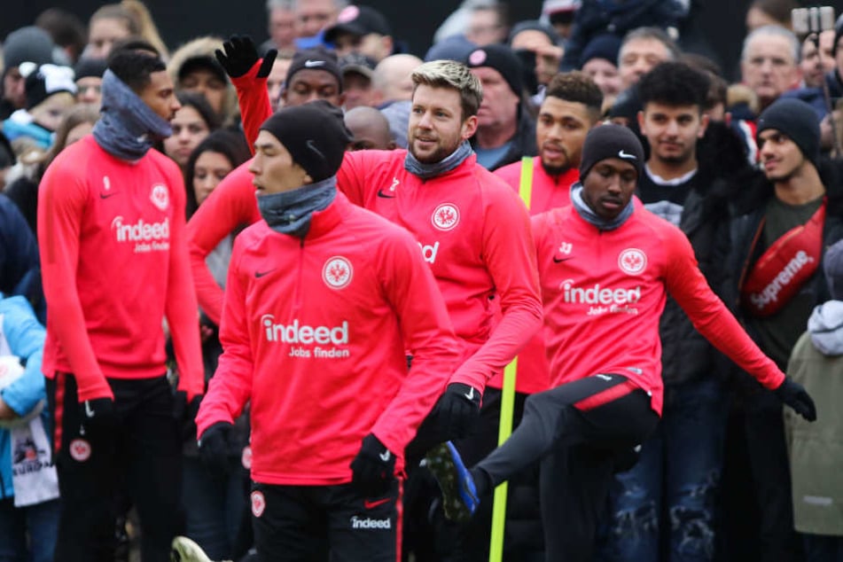 Nicht zuletzt auch aufgrund der hervorragenden Leistungen in der Europa League sicherte sich die Frankfurter Eintracht den Titel als größte Überraschung der Hinrunde.