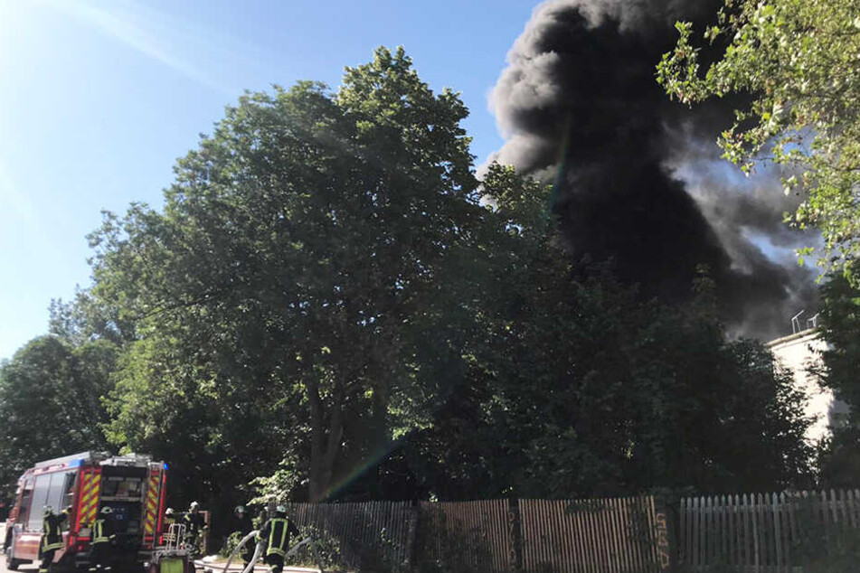 Das Mafa-Gelände war Ort des Brandes sein.