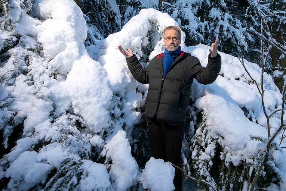 Professor Andreas Roloff (63) erklärt, warum derzeit so viele Bäume unter den Schneemassen zu Bruch gehen.