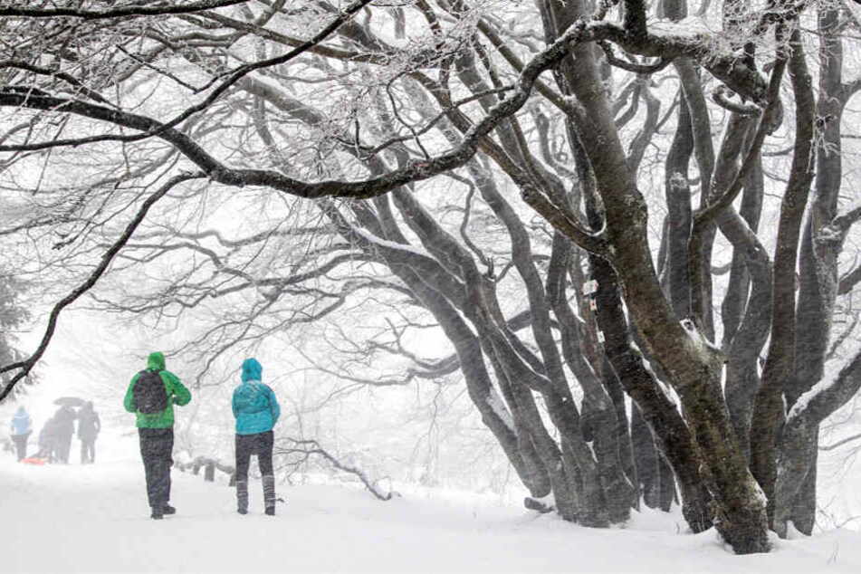 Im Taunus bei Frankfurt fiel am Sonntag sehr viel Schnee. Dennoch waren Ausflügler dort unterwegs und genossen die weiße Pracht.