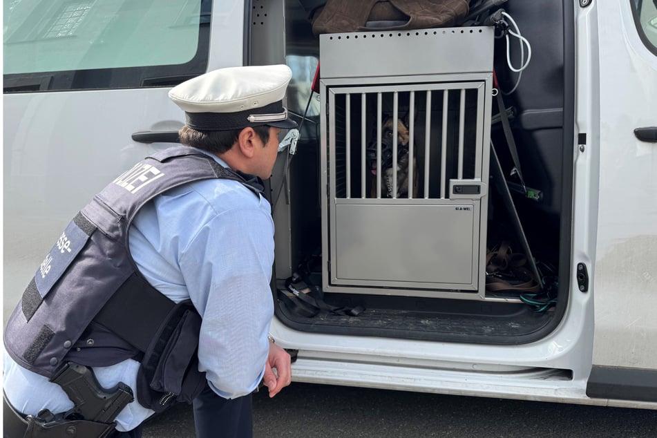 Die Polizei durchsuchte am Freitag die Wohnung des 44-Jährigen und nahm ihm den Hund weg.