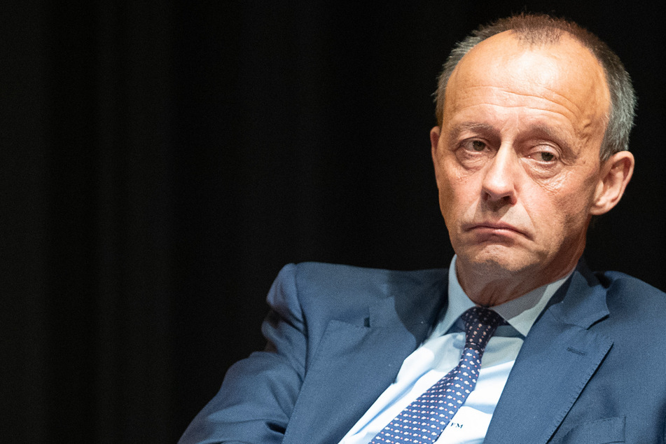 "Verstehen, worüber sie sprechen": Friedrich Merz lobt die Grünen