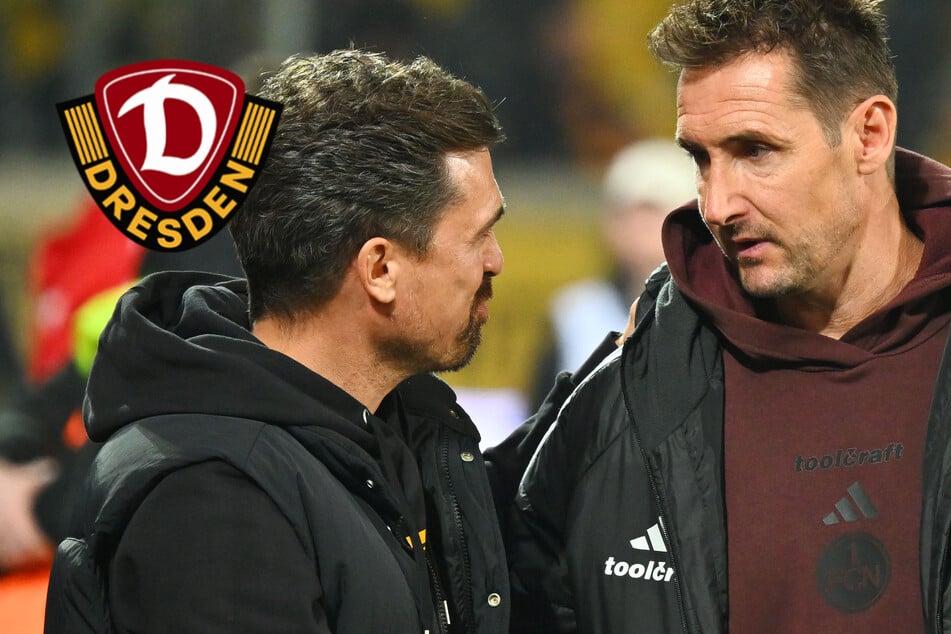 Dynamos Stamm klettert im Trainer-Ranking, nur zwei liegen noch vor ihm