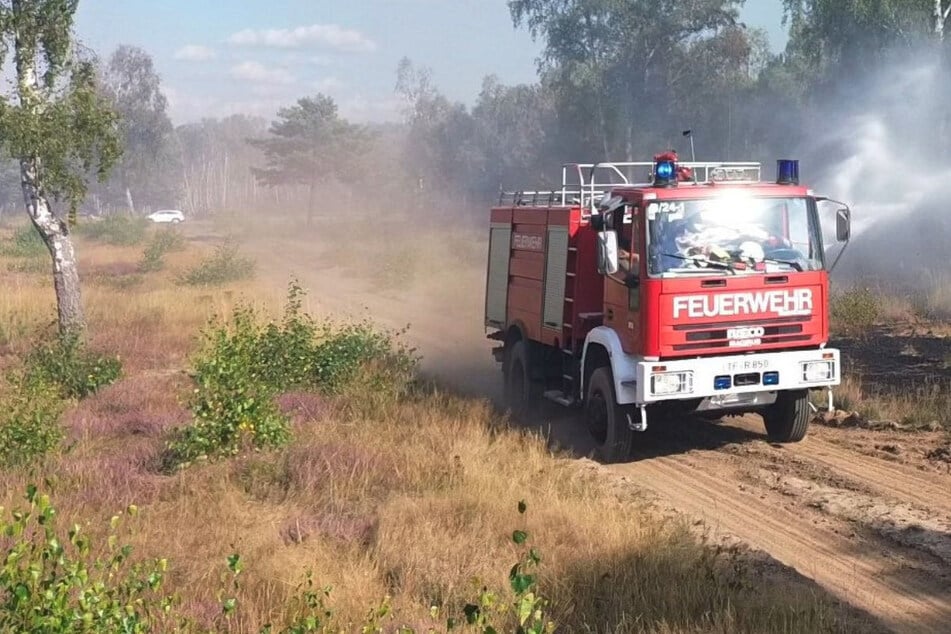 Wieder Waldbrand bei Jüterbog: Munitionsbelastete Waldfläche in Flammen