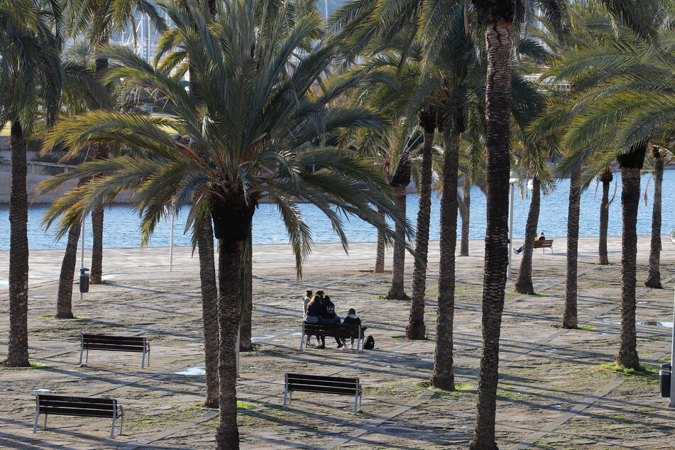 Menschen sitzen in einem Park in Palma, Spanien. Bald sind in Mallorca bis auf wenige Ausnahmen keine privaten Treffen mehr erlaubt.