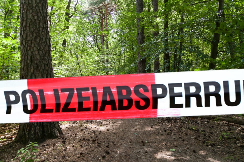 Ein Mann auf einem Baum hat am Mittwoch in Leipzig einen Polizeieinsatz ausgelöst. (Symbolbild)