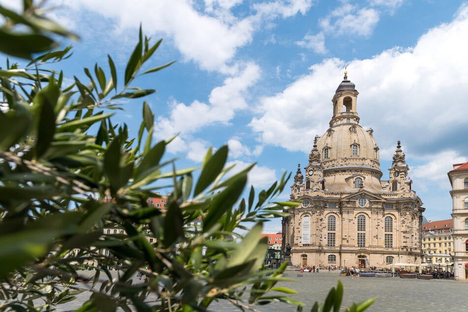 Dresden: Stadtschreiber gesucht: Auf "Edelfeder" warten Wohnung und Stipendium