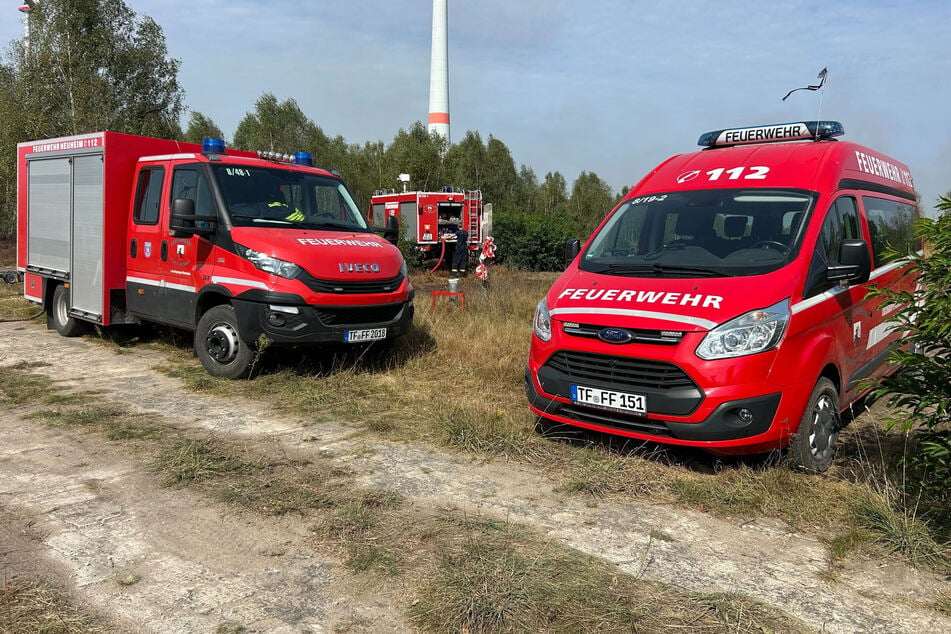 Waldbrand in Brandenburg weiter unter Kontrolle