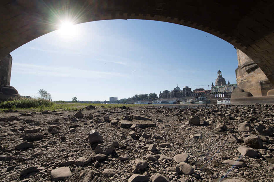 Große Teile des Elbe-Flussbetts gleichen einer Steinwüste.