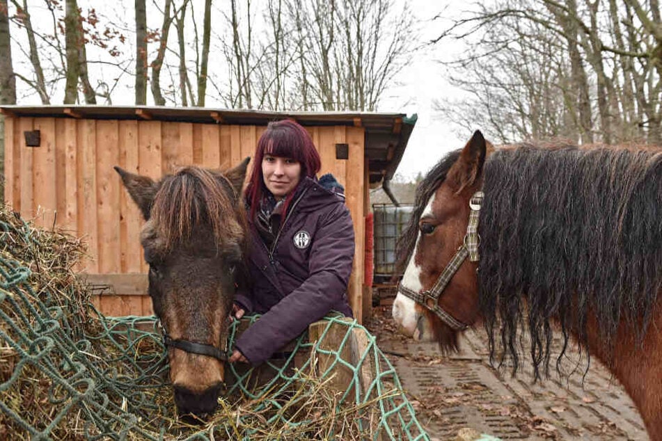 Anne H. (30) kümmert sich auf dem Ponyhof "Happy Horse" liebevoll um die Vierbeiner.