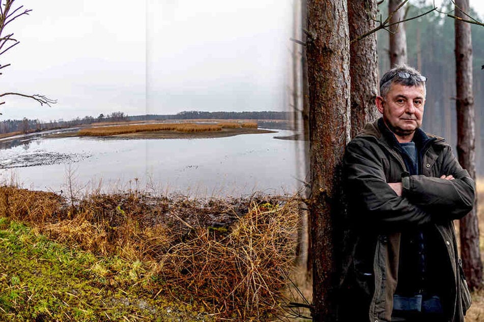 Fischteich lässt Wald absaufen! Förster sauer auf Karpfenzüchter