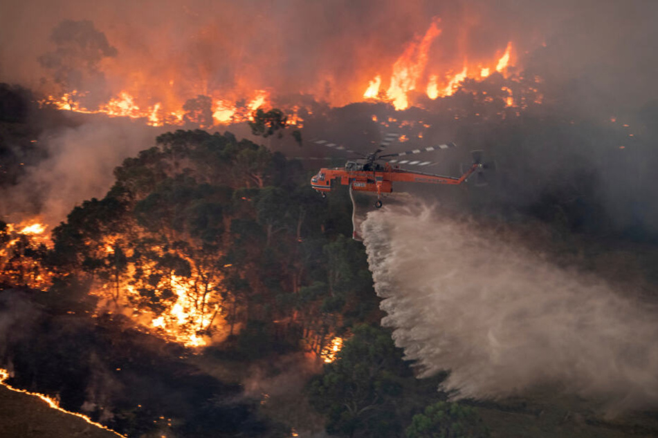 Ein Löschhubschrauber bekämpft ein Buschfeuer im Bundesstaat Victoria. Die Buschbrände im Südosten Australiens geraten immer mehr außer Kontrolle und haben weitere Todesopfer gefordert.