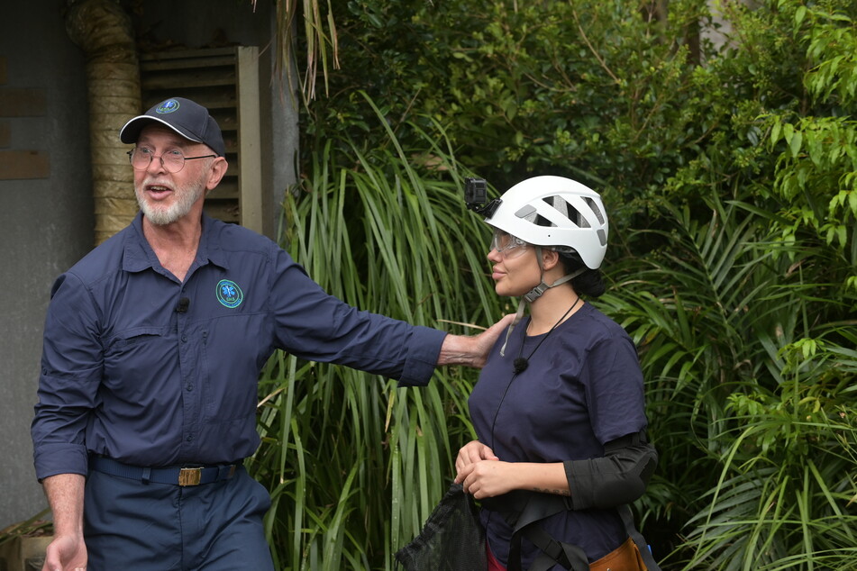 Robert "Bob" McCarron (74) alias Dr. Bob ist bereits seit der ersten Staffel beim "Dschungelcamp" dabei.