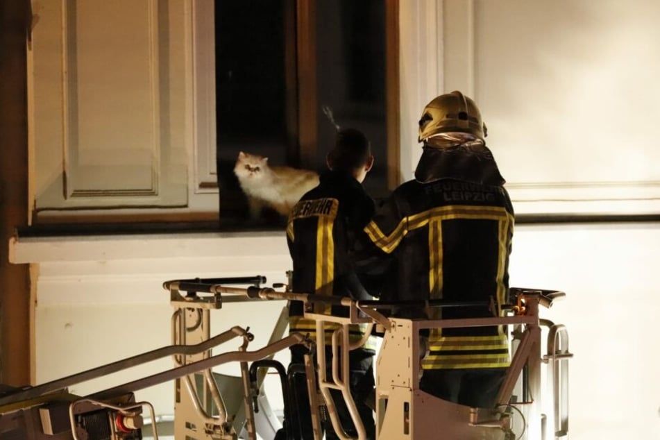 Die Rettung folgte erst am späten Abend gegen 23 Uhr: Per Drehleiter wurde das Tier aus seiner misslichen Situation befreit.