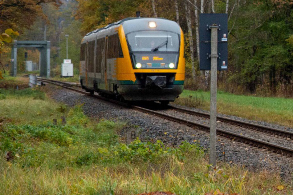 Eine Regionalbahn der Linie 65 krachte am Mittwochnachmittag nahe Horka in einen Telefonmast. (Symbolfoto)