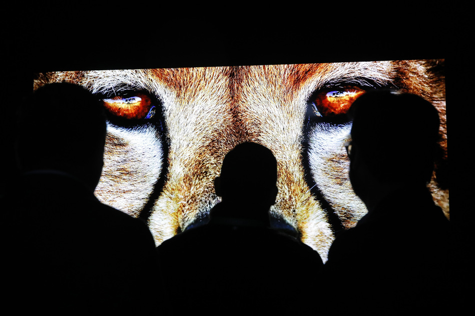 Las Vegas: Messe-Besucher betrachten das Display eines 145 Zoll großen UHD Monitors von LG bei der CES 2020. Die Technik-Messe CES in Las Vegas wird im kommenden Jahr entgegen einer ersten Ankündigung der Veranstalter doch nur als Online-Event stattfinden