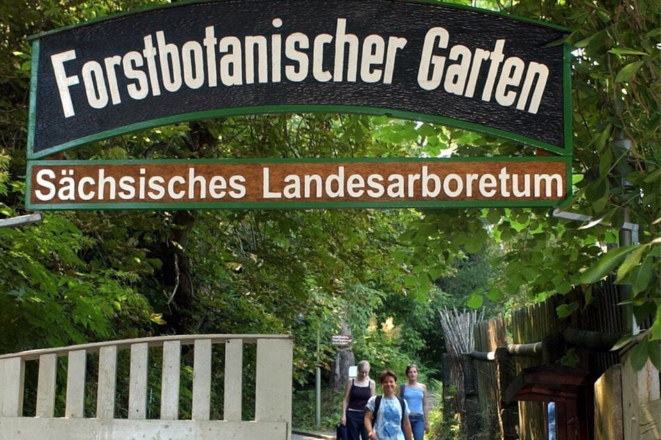 Gewinnt eine Führung Im Forstbotanischen Garten! (Archivfoto)