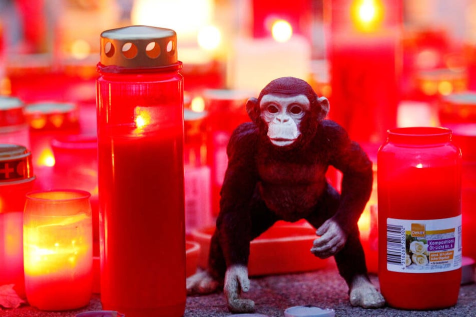 Nach dem tödlichen Brand im Affenhaus im Zoo in Krefeld trauerten viele Menschen um die toten Tiere (Archivbild).