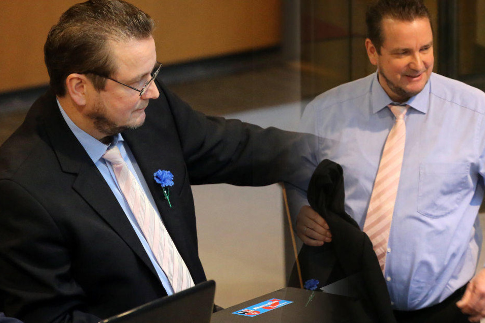 Mit einer blauen Kornblume erschien Andreas Wild im Berliner Abgeordnetenhaus. (Bildmontage)